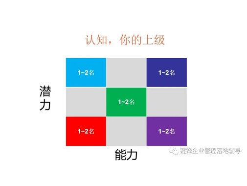 如何運(yùn)用向上管理與下屬培育？